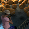 MJRD1524 MJRD1524